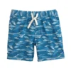 Johnnie-O Men's Tottori Swimtrunk