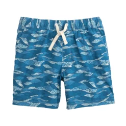 Johnnie-O Men's Tottori Swimtrunk
