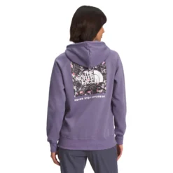 North Face Women's Box NSE Pullover Hoodie 2023 -Snow Gear Shop NF0A7UON IAO hero
