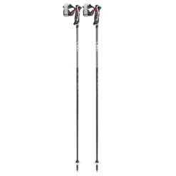 Leki Men's Carbon 14 3D Ski Pole 2024