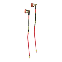 Leki WCR GS 3D Ski Pole 2024