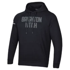 Under Armour Brighton Mountain Wool Logo All Day Hoodie